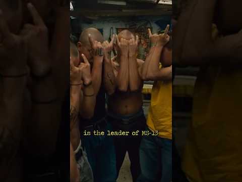 $5 Million Reward For Capture Of MS-13 Leader 'Porky' 🐷🤑⛓️ #TheSuspect #TrueCrime #CriminalMinds