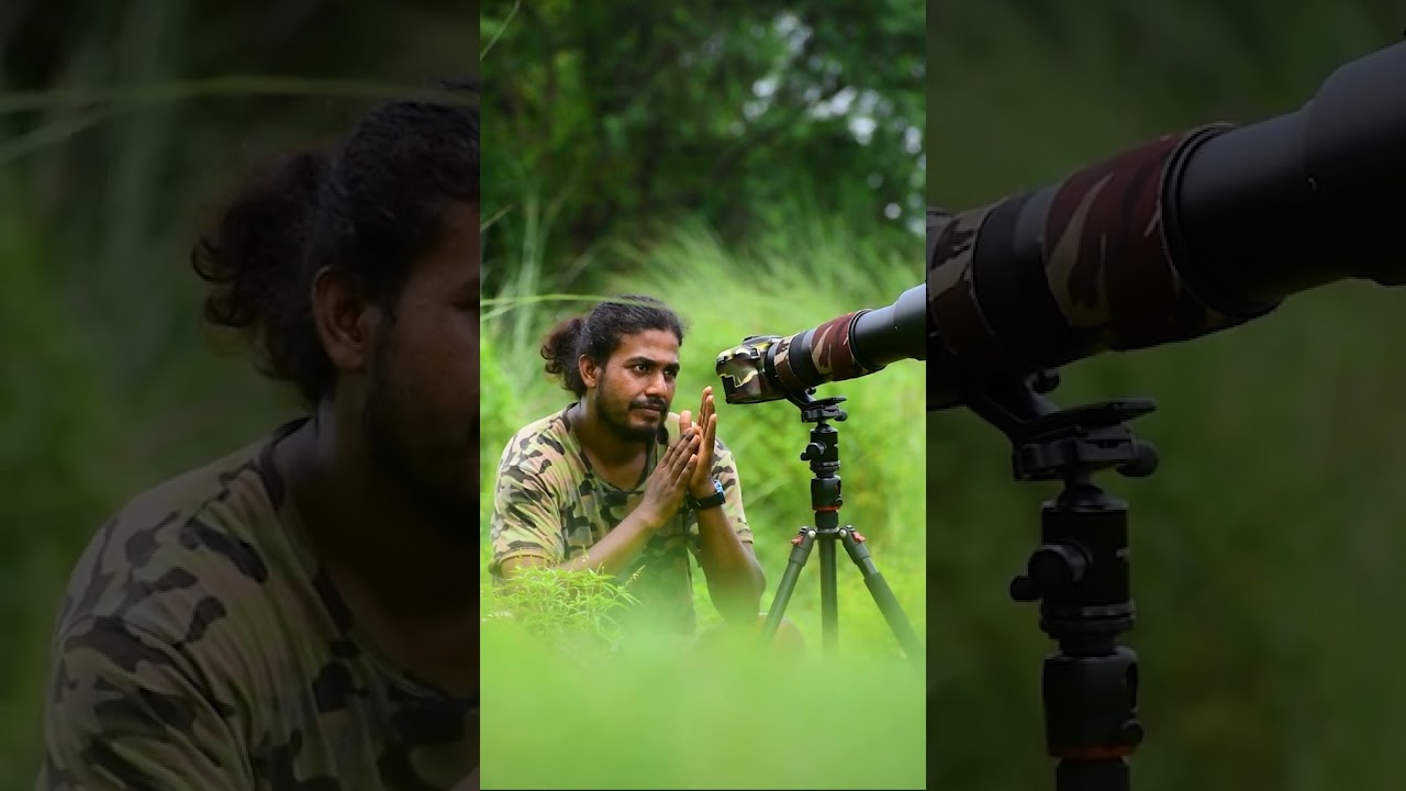 Wildlife & Bird Photography Paradise 📸