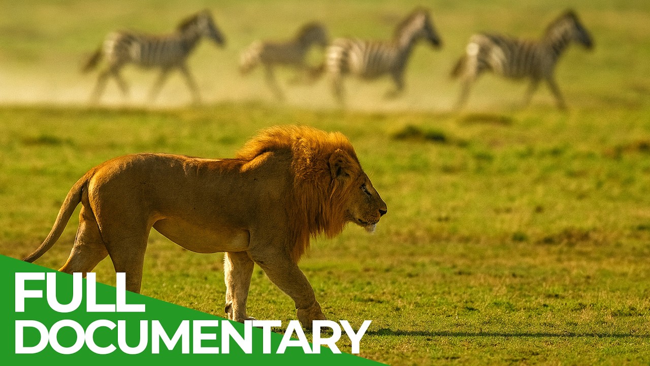 Wild Instinct: Survival and Fear on the African Savannah 🌿