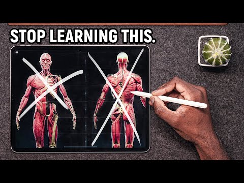 Learning Anatomy for Art? Study this FIRST.