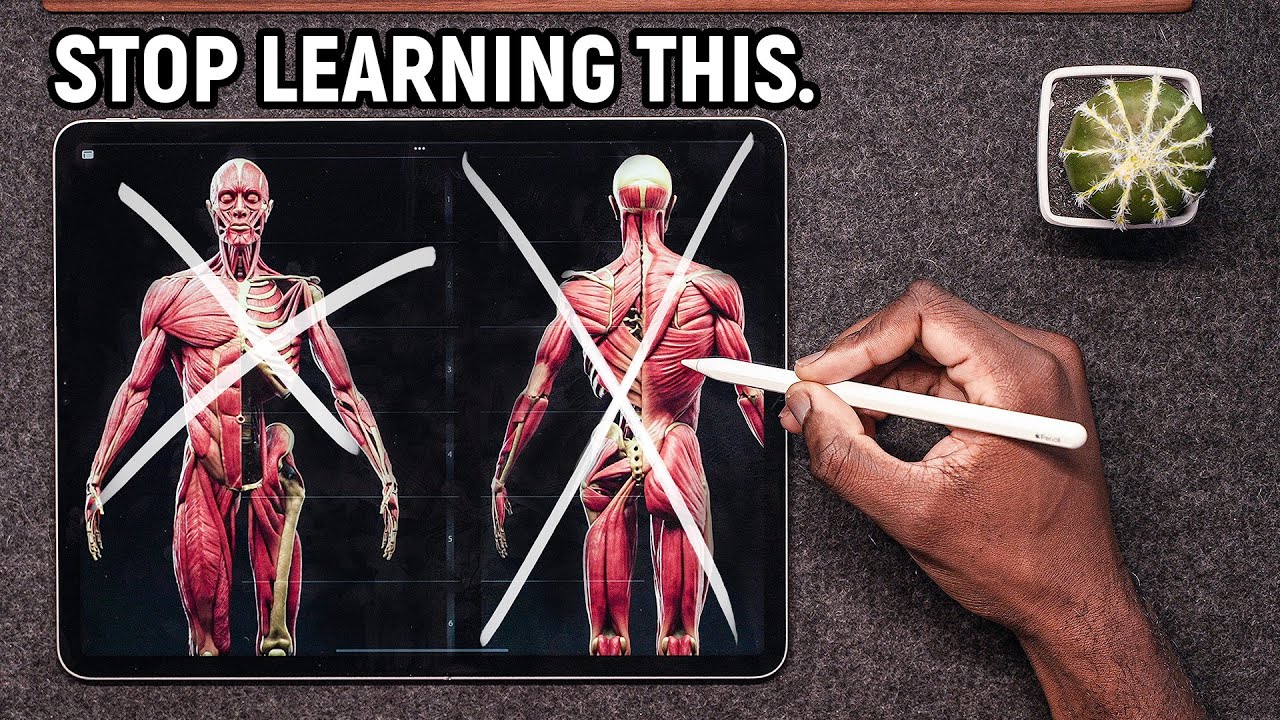 Master Anatomy for Art: Essential Tips & Tools 🎨