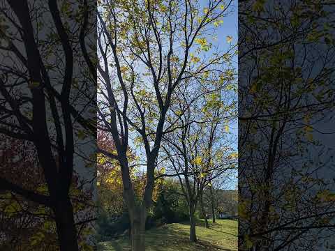 Jön a 20 fok feletti vénasszonyok nyara – ilyen lesz a holnapi időjárás