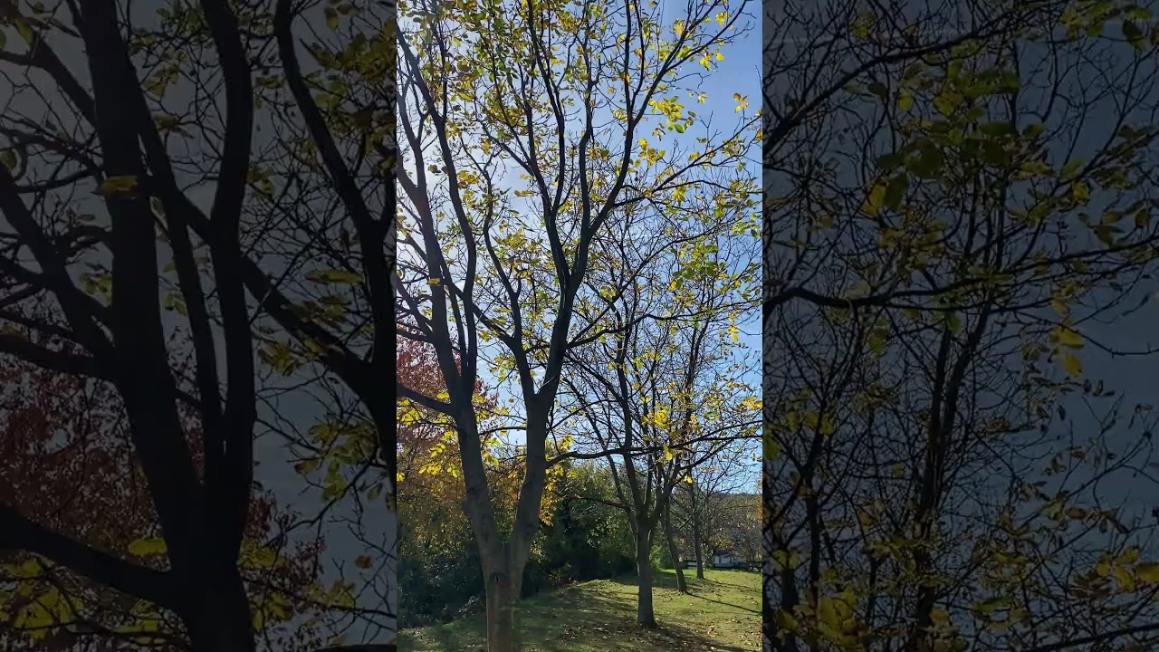 Vénasszonyok Nyara érkezik: 20°C feletti meleg várható holnap 🌞