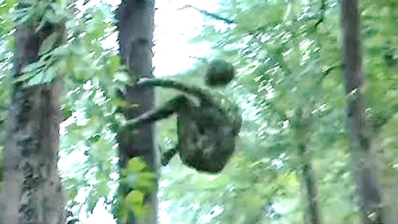 15 Unsolved Mysteries That Cannot Be Explained