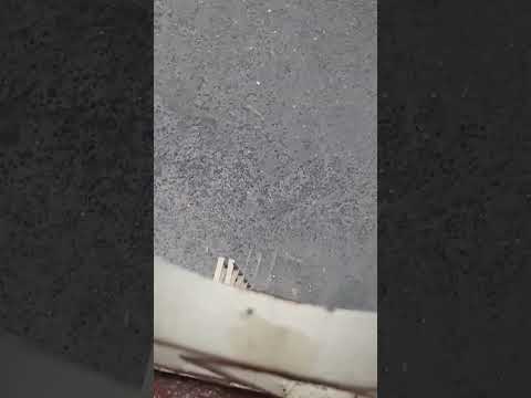 এমনও দিন এ তারে বলা যায় @rashmonipal5360