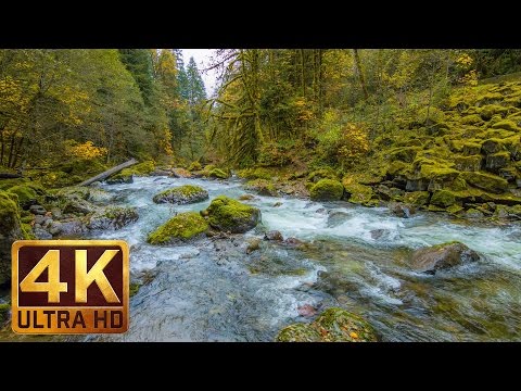 Beautiful Nature Video in 4K (Ultra HD) - Autumn River Sounds - 5 Hours Long