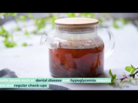 What You Need to Know Before Buying a Teacup Maltese Puppy: