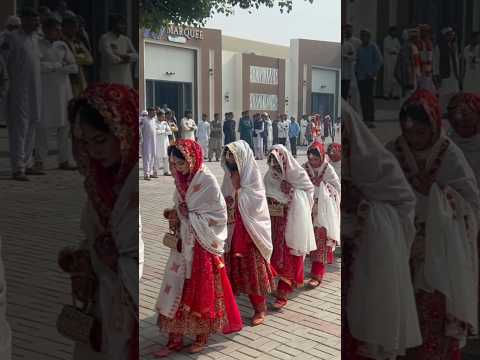 300 dulhan Ki shadi #shorts #short