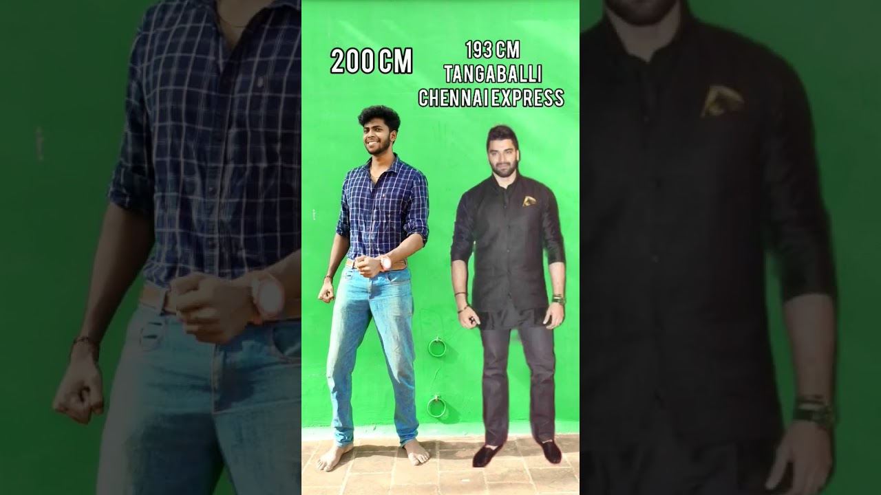 Actor's Height Difference Revealed 📏