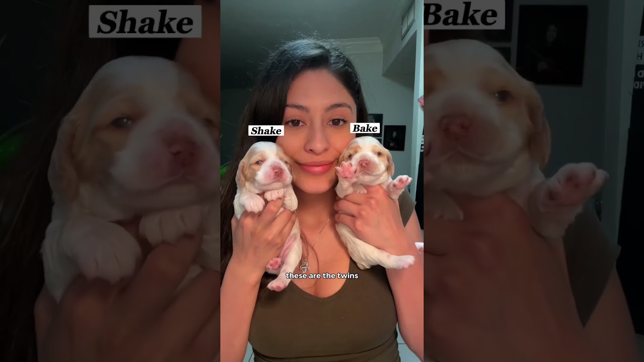 Baby Feeding Time! 🍼 #shorts