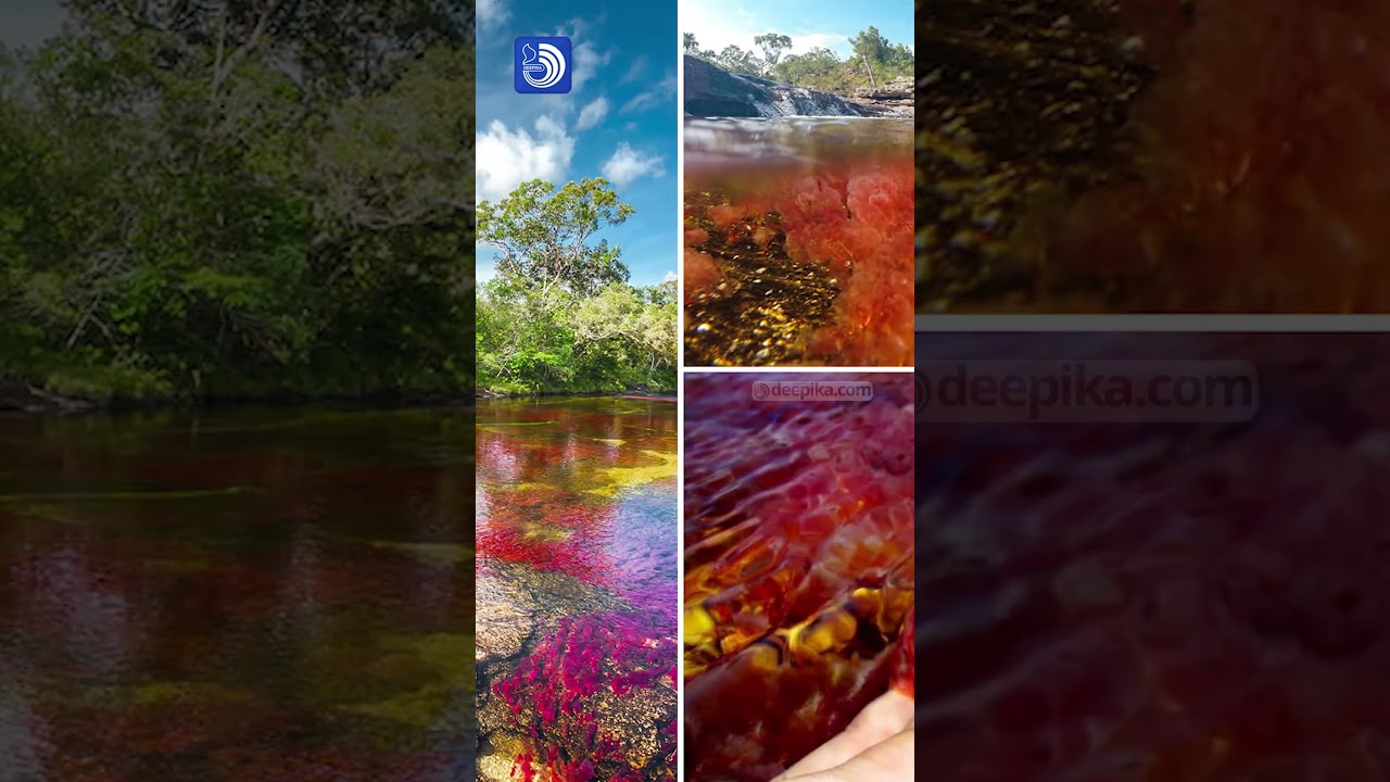 അഞ്ചു വർണങ്ങളുടെ പുഴ | മനോഹര ദൃശ്യം 🌈