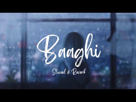 Baaghi - OST | Slowed & Reverb | Lofi Lobo