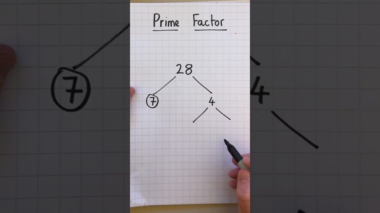Understanding Prime Factors & How to Find Them 🔍