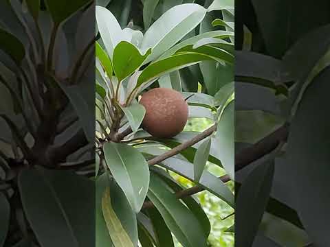 the beautiful moments capture||#nature #youtubeshorts #islam #yt #quran #allah #shorts #reels