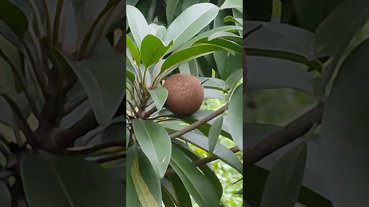 Cherish Nature's Beauty & Spiritual Moments 🌿