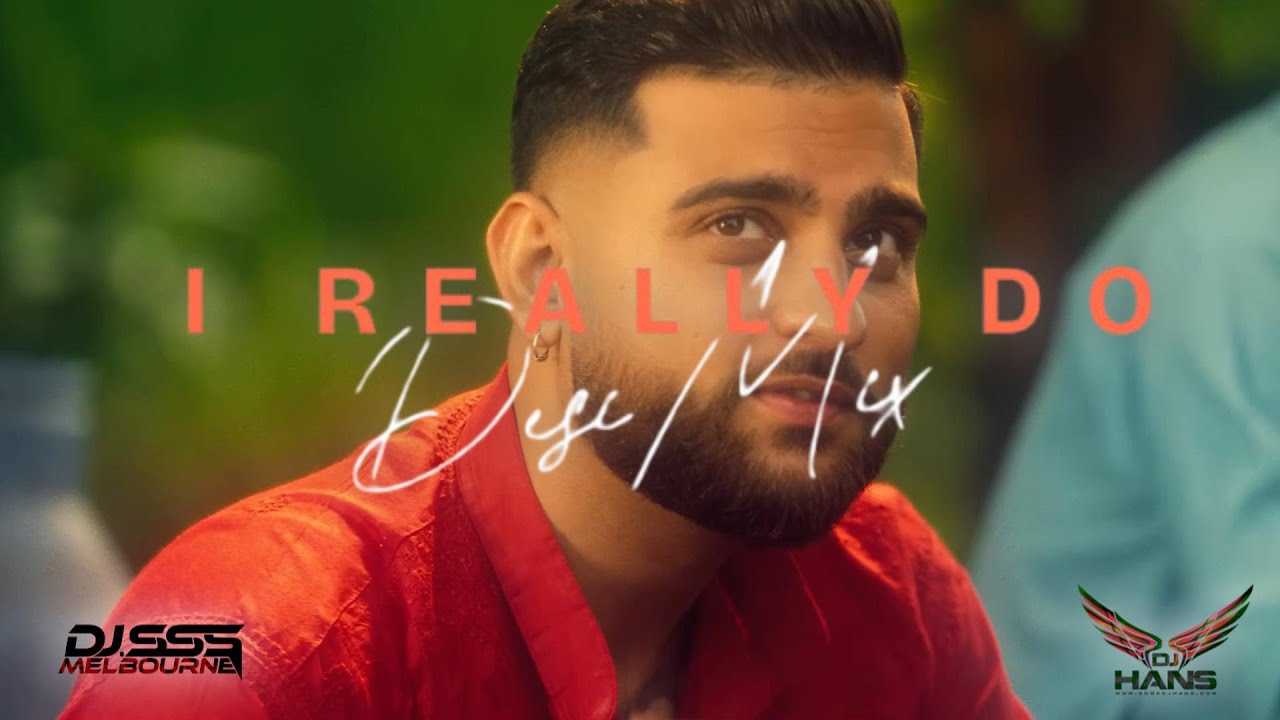 I Really Do (Desimix) | Karan Aujla x DJ SSS ft. DJ Hans โ Ultimate Desi Vibes ๐ถ