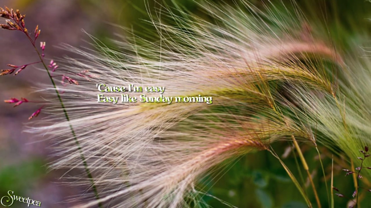 Lionel Richie - Easy (Like Sunday Morning) 🎶