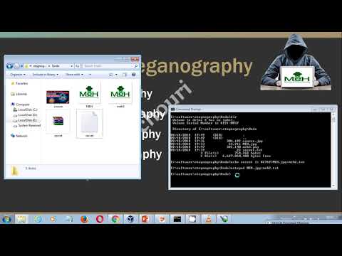 Image & Text Steganography Practical