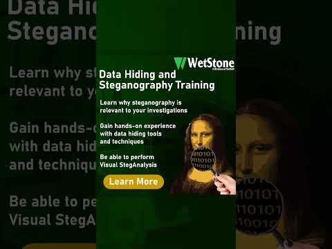 Data Hiding and Steganography Training from WetStone Technologies