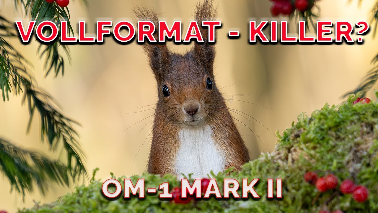 MFT vs. Vollformat: Kann die OM-1 Mark II mithalten? 📷