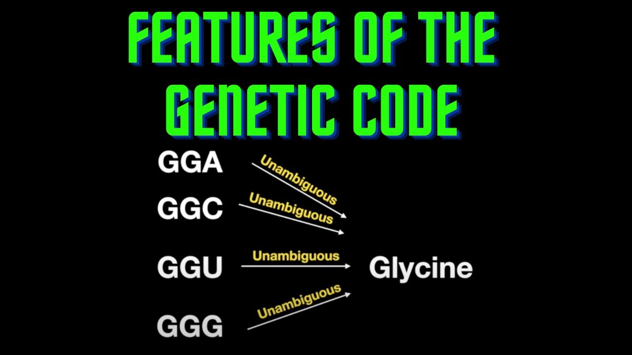 Master the Key Features of the Genetic Code for UMLE Step 1 📚