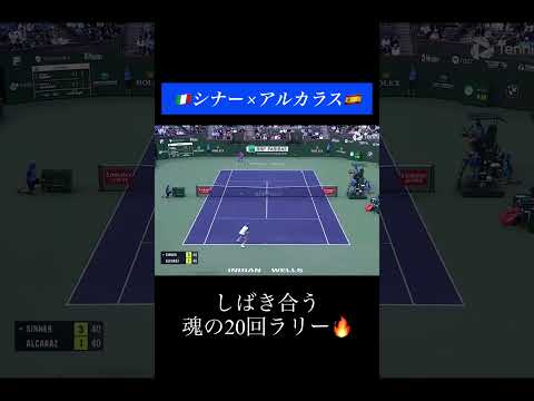 シナー「アルカラスはしつこすぎる」#tennis #テニス #テニス名場面ちゃんねる #shorts