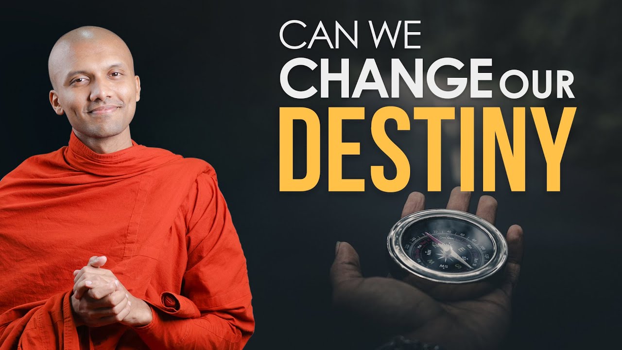 Can We Change Our Destiny? | Buddhism Insights ✨