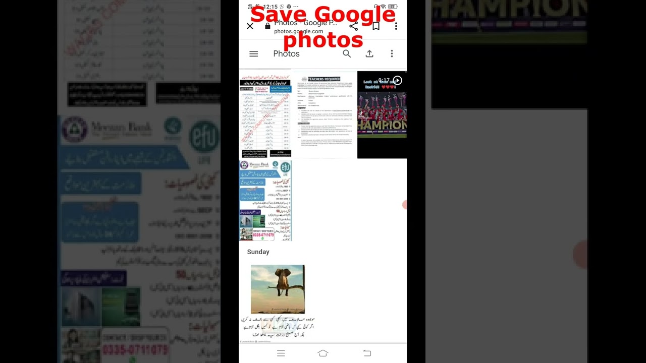 Save Google Photos to Gallery 📁
