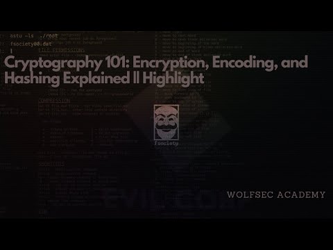 Cryptography 101: Encryption, Encoding, and Hashing Explained || Highlight