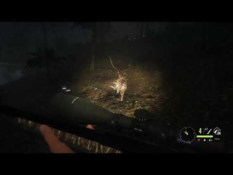 First Diamond Axis Deer in theHunter: Call of the Wild 🦌