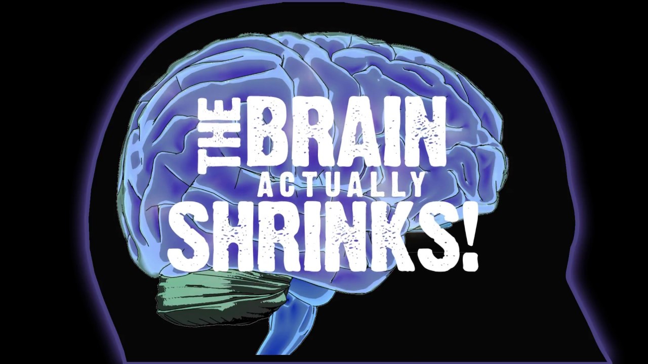 Impact of Drugs & Alcohol on Brain Health 🧠