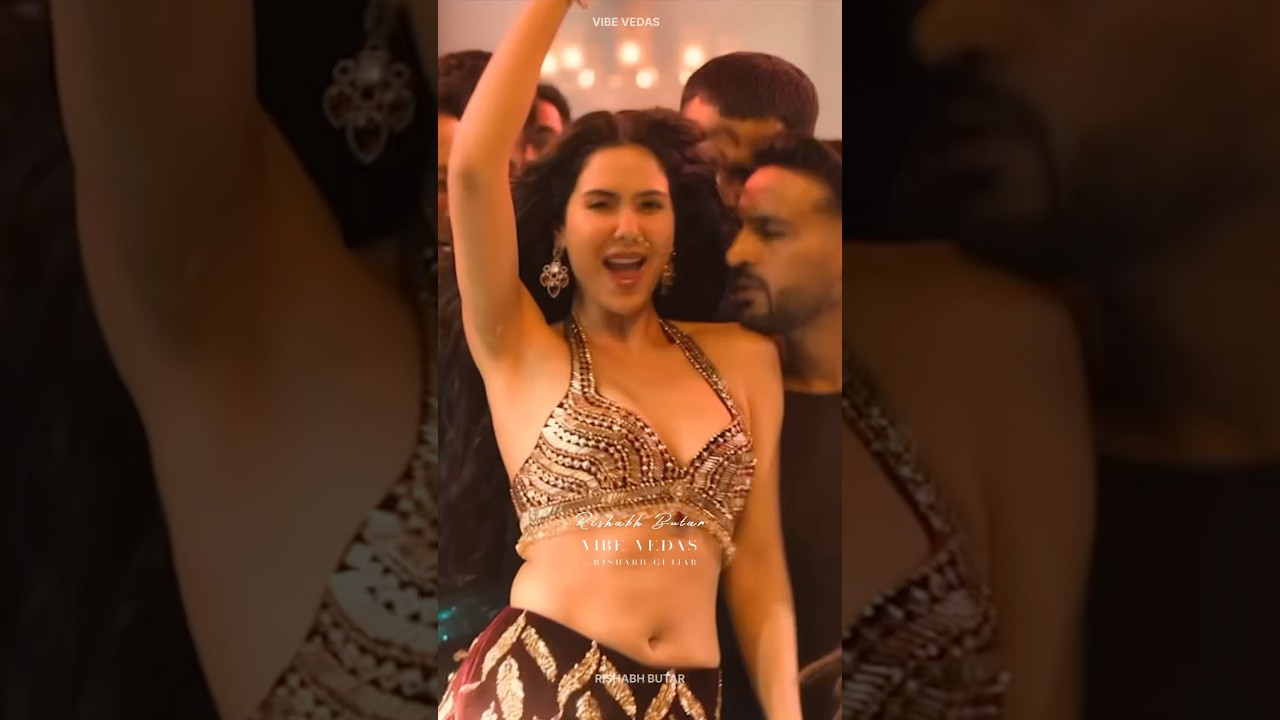 Baaghi 4: Akeli Laila Song | Tiger Shroff & Sonam Bajwa 🎶