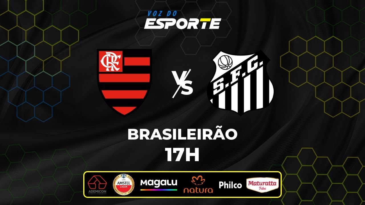Assista ao Vivo: Flamengo x Santos - Campeonato Brasileiro 09/11/2025 ⚽