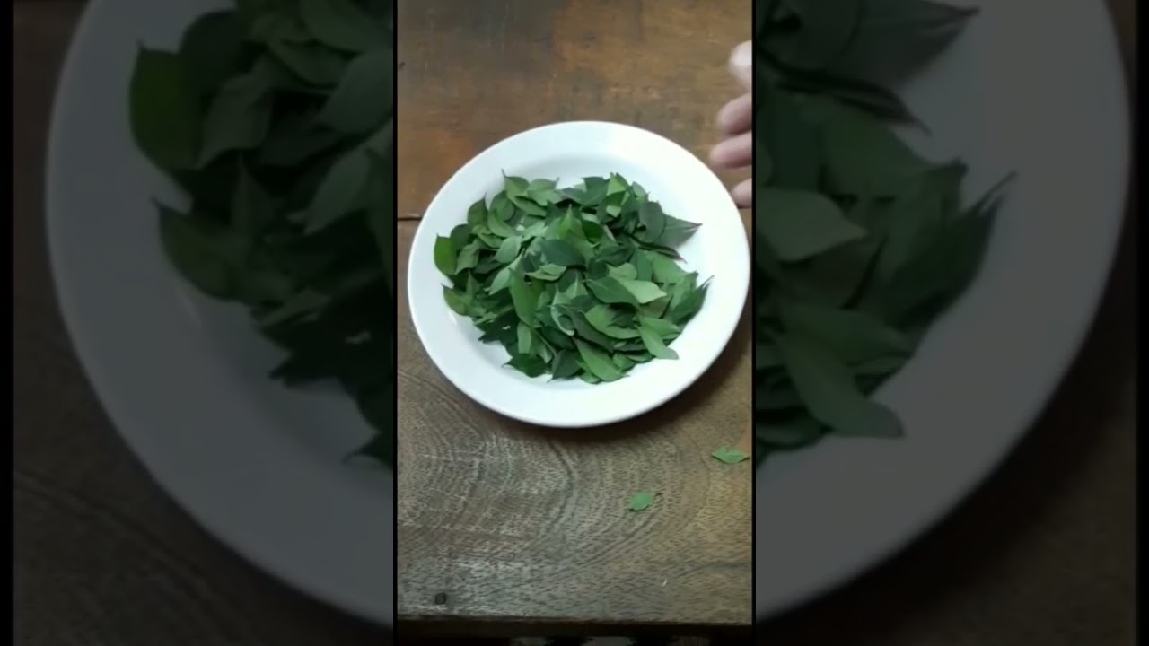 करी पत्ता को स्टोर करने का सही तरीका #how to store curry leaves #100% working