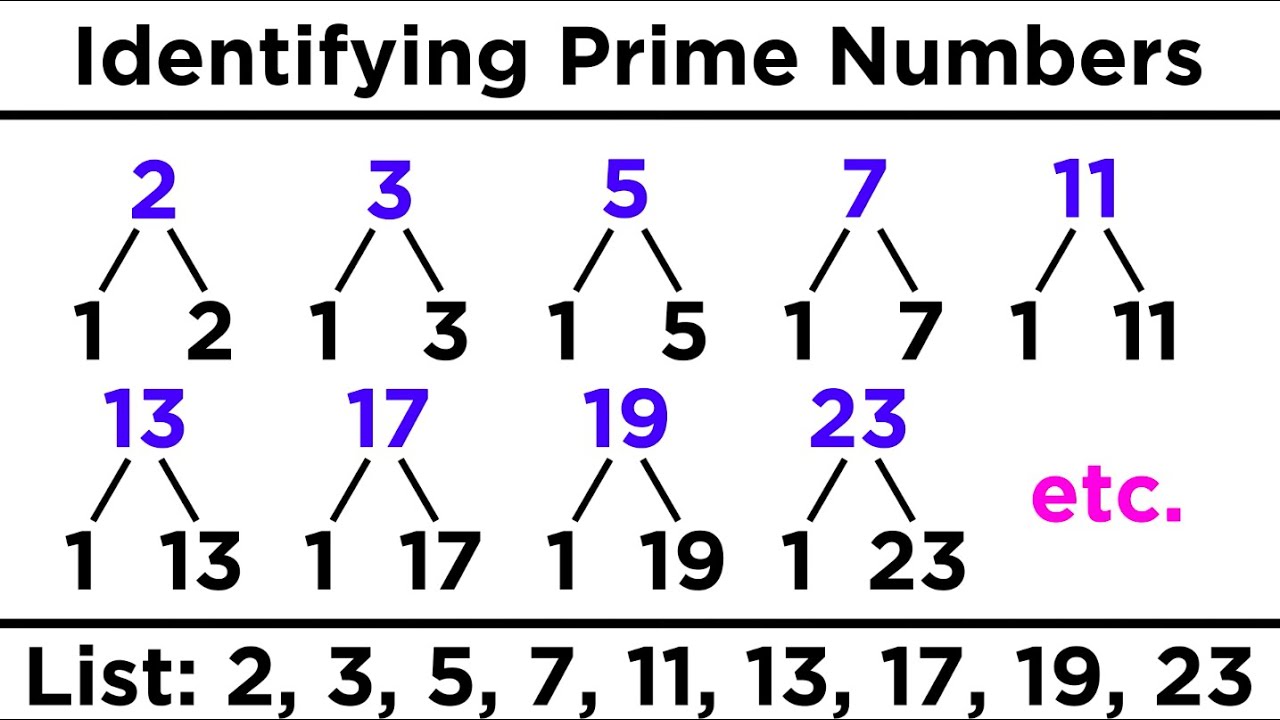 Understanding Divisibility, Prime Numbers, and Prime Factorization