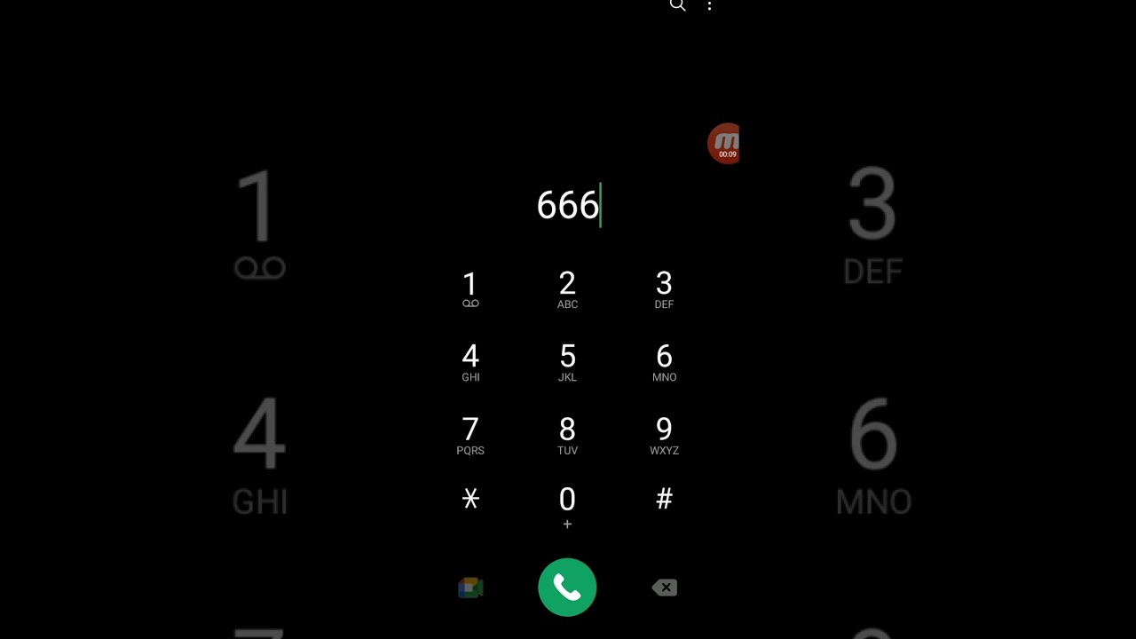 #666
