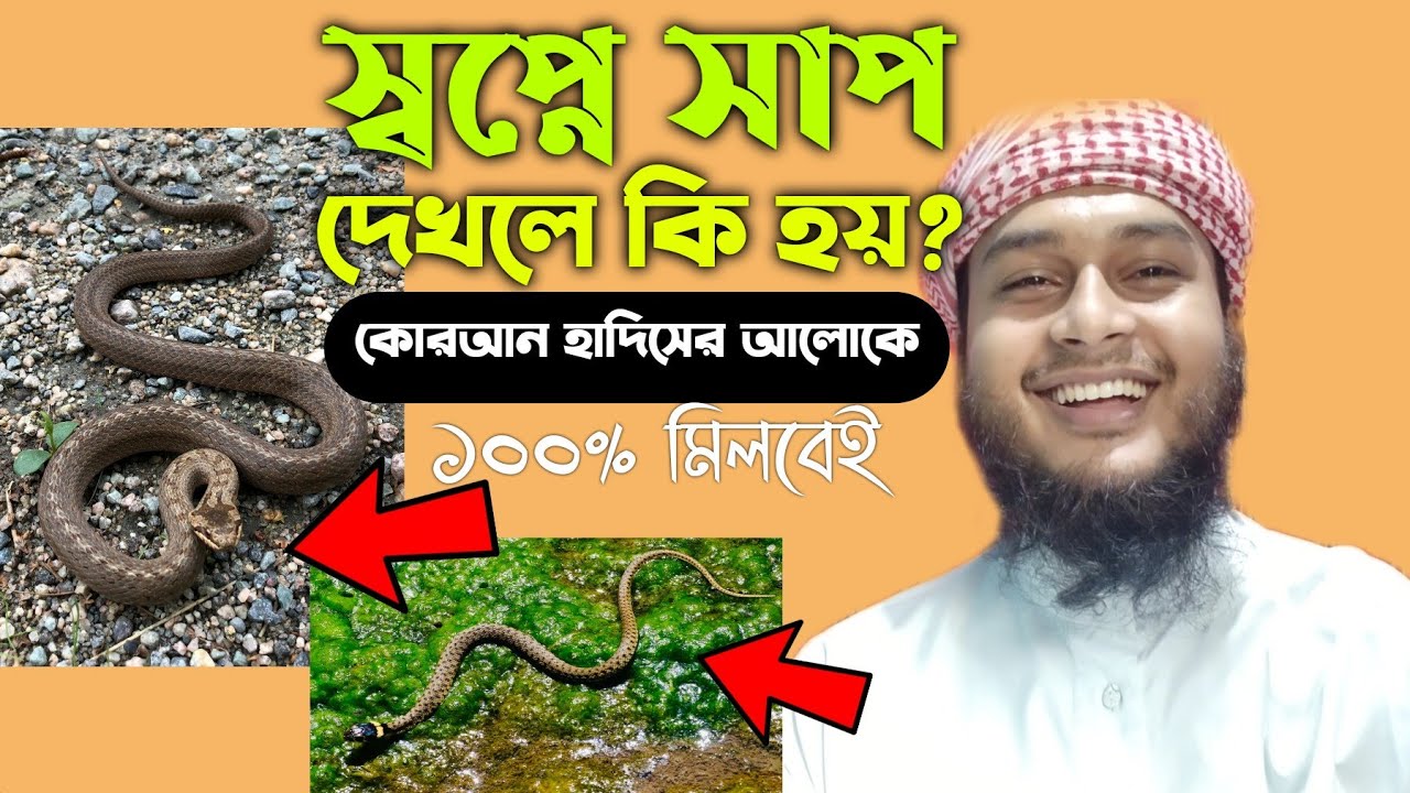স্বপ্নে সাপ দেখার অর্থ | Dream Interpretation 🐍