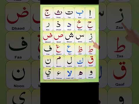 Alif Ba Ta Sa | Arabic letters for beginners | Learn Arabic alphabet for beginners #quran #arabic