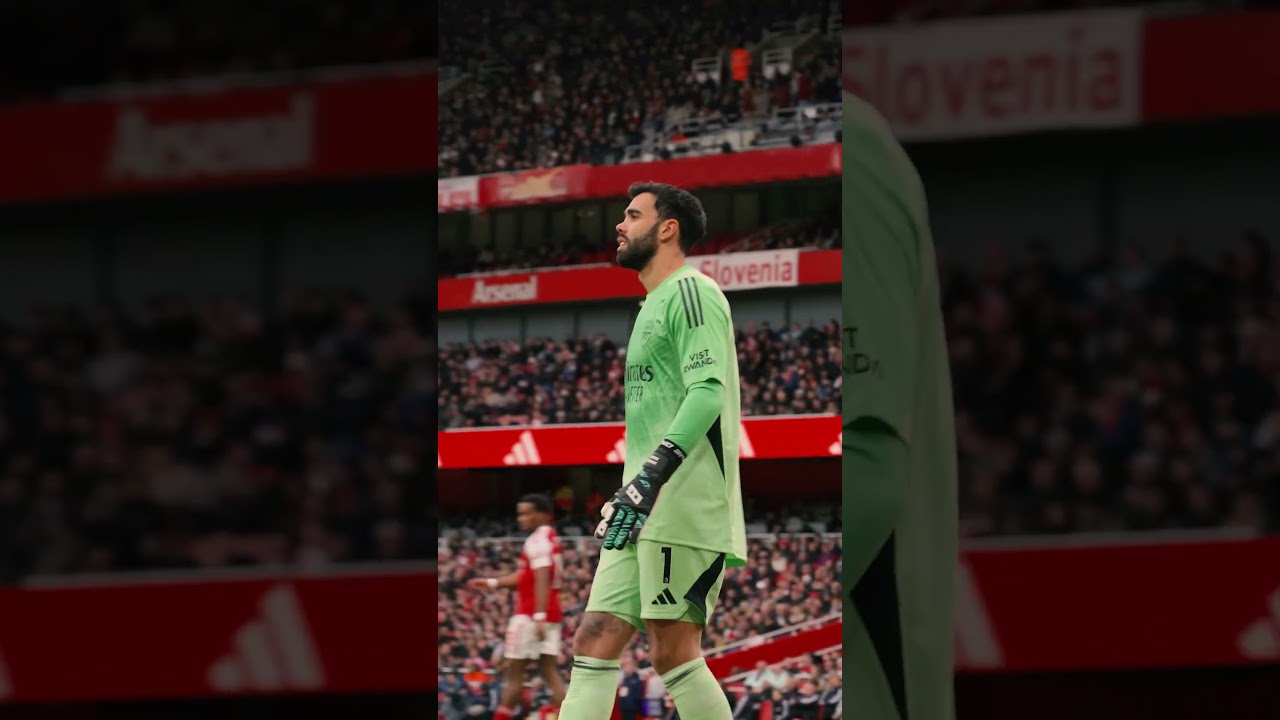 David Raya's Top Moments vs Crystal Palace ⚽