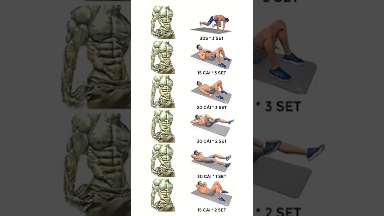 Bí Quyết Tập 6 Múi Cơ Bụng Hiệu Quả Dành Cho Người Mới Bắt Đầu 🏋️‍♀️