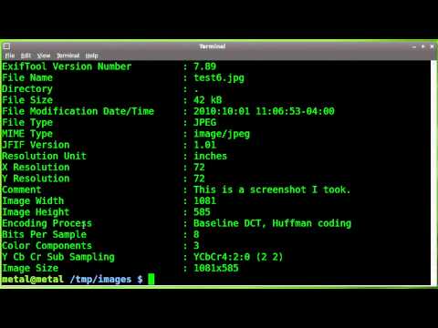 Working with jpg Metadata Comments - Exiftool - BASH - Linux Command Line