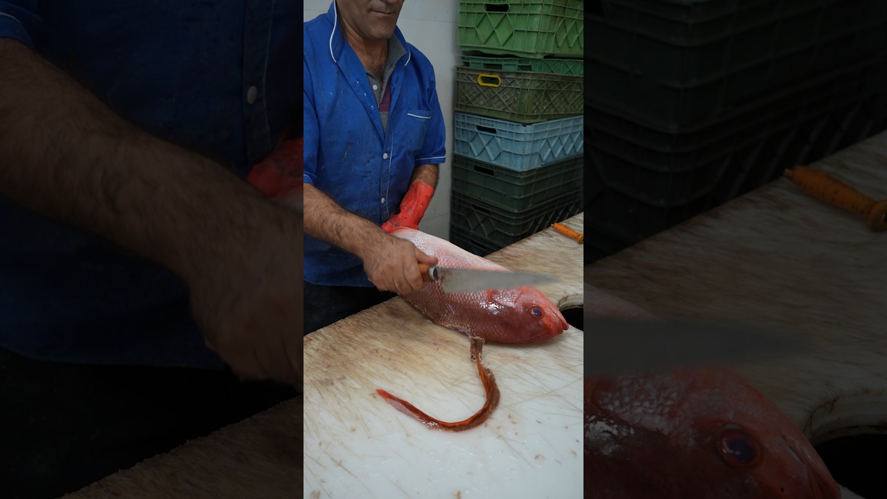 Master Red Snapper Fillet: Easy No-Fail Guide