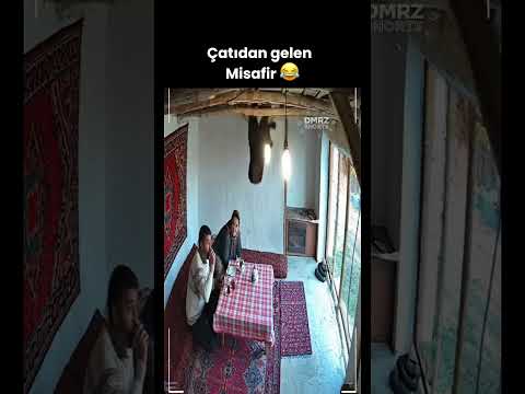 Misafirin böylesi,😃#shorts #shortsvide #comedy #funny #komedi #fly #inek #köy