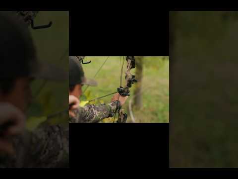 So good short #chasse #challenge