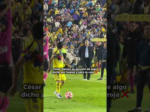 ¡LO QUE NO SE VIO EN TELEVISIÓN! Efra expulsado 😱#shorts