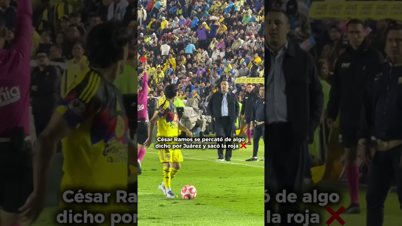 ¡Lo que no viste en TV! Efra fue expulsado 😱 #shorts