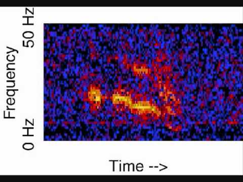 Unexplained Deep Sea Sounds at 16X Speed π