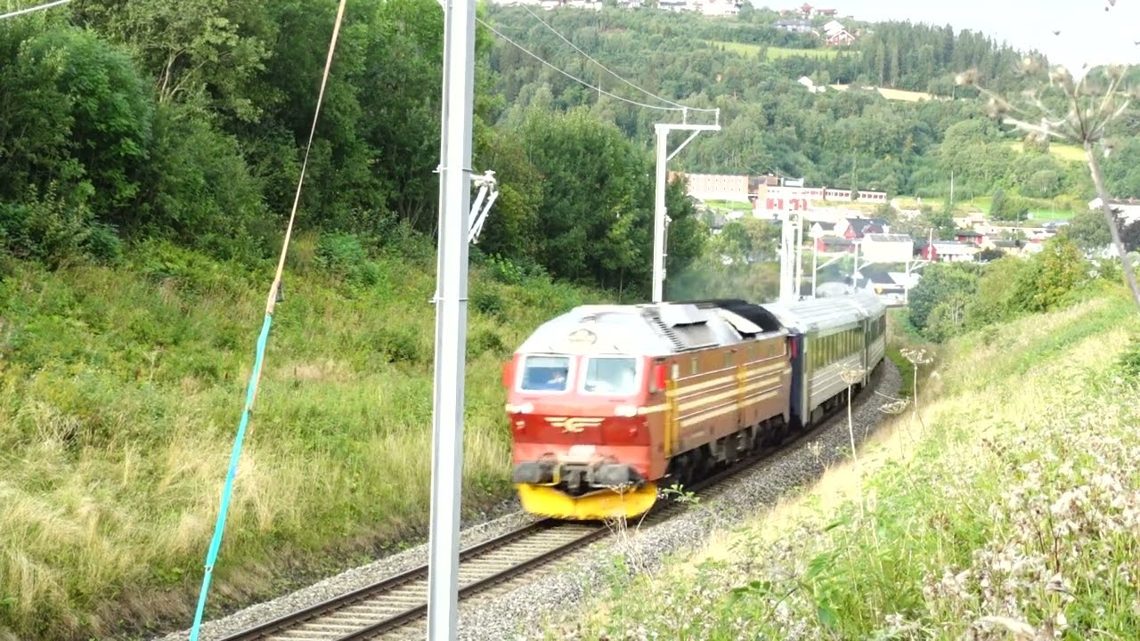 Passerertall ved Haugan den 04.09.23 🚶♂️