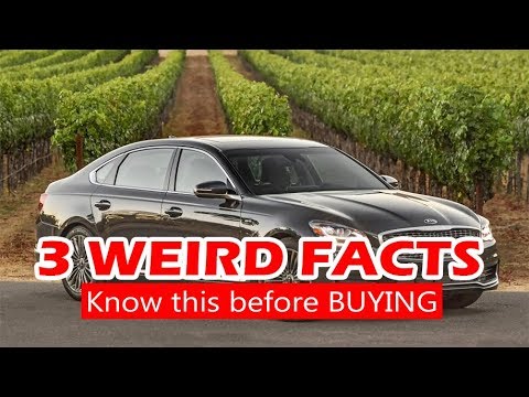 New 2019 2019 Kia K900 Debuts in Europe 🚗