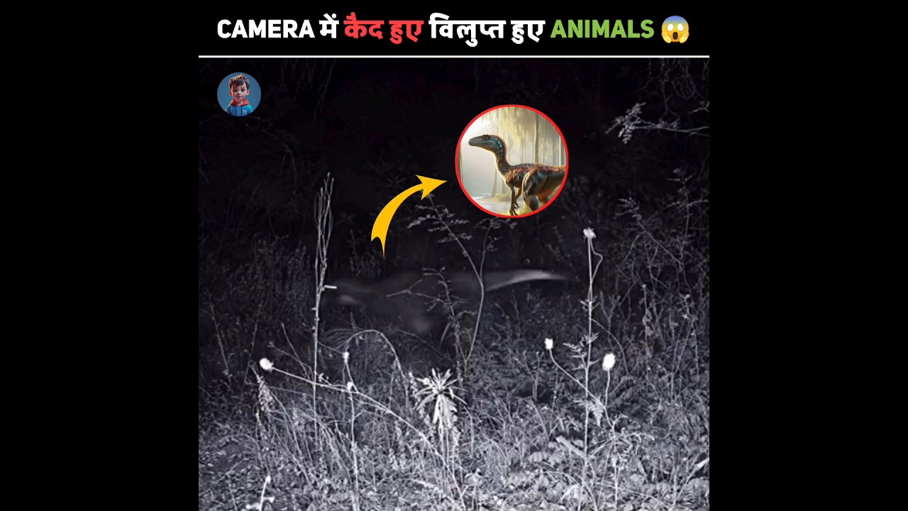 कैमरे में कैद हुए विलुप्त जानवर 🦏